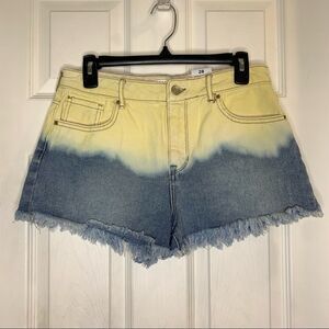 Pacsun High Rise Festival Shorts Size 28 Springtide